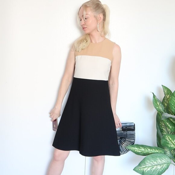 NEW Zara Color-block A-silhouette Sleeveless Dress - Picture 5 of 8